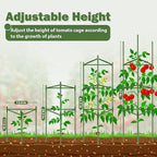 6 Pack Tomato Cage for Garden Plant Supports, Up to 53 Inch Tomato Trellis for Potted Plants, Heavy-Duty Garden Plant Stakes for Climbing Vegetables Plants Cucumber Peony Flowers, Green