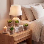 Briful Set of 4 Succulents Plants Artificial in Clear Glass Pots Small Fake Succulents Plants Mini Faux Plants Indoor for Window Sill Office Table Desk Shelf Bathroom Decor