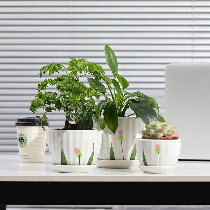 STHIE Ceramic Plant Pots with Drainage Holes and Saucers, Round White Flower Pots for Indoor Plant, Diameter 3.3/4.3/5.5 Inches Small Flower Planters Set of 3