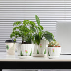 STHIE Ceramic Plant Pots with Drainage Holes and Saucers, Round White Flower Pots for Indoor Plant, Diameter 3.3/4.3/5.5 Inches Small Flower Planters Set of 3