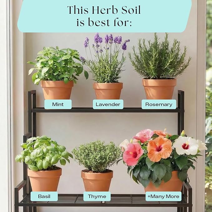Rosy Soil Herb Mix - Organic Potting Mix for Herbs - Enriched with Biochar, Worm Castings for Root Development, Nutrient Uptake, and Strong Flavor - Fast Draining, Peat Free, Less Prone to Gnats - 4qt