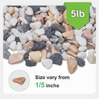 Pulovin 5 lbs Small Rocks for Plants, 1/5 Inch Pebbles for Indoor Plants, Natural Decorative Pea Gravel for Aquarium, Fish Tank, Terrarium, Succulents, Bamboo Plants, Vases, Cactus, Crafts