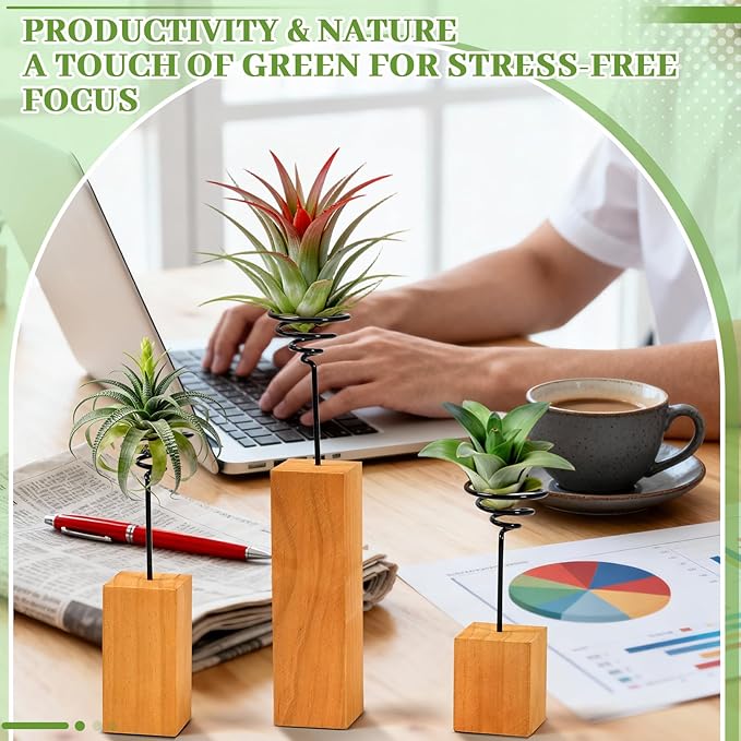 3 Pack Air Plant Holder with Wooden Base, Metal Spiral Tillandsia Stands for Desktop Shelf Display, Decorative 3 Sizes Air Plant Holder for Home Office and Housewarming Gift
