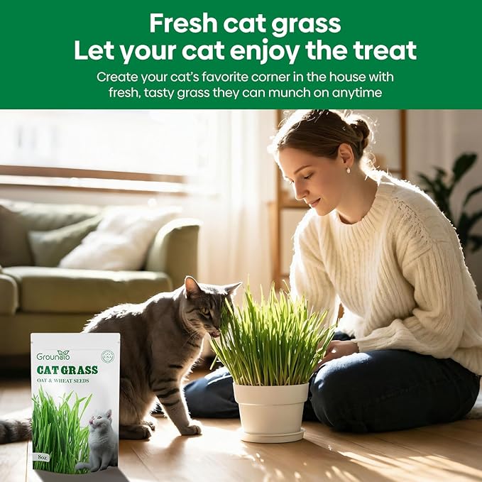 Groundio Cat Grass Seeds 8oz, Non-GMO Wheat Cat Grass Seeeds & Oat Seeds Mix, High Germination Cat Grass Seeds Grown in USA for Indoor Cats