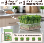 Seedboy Organic Wheatgrass Seeds - Hard Red Spring, Non-GMO, USA Grown Microgreens & Sprouting Seeds - 8 oz Bag Yields 5 Quarts (Hard Red Spring Wheatgrass)