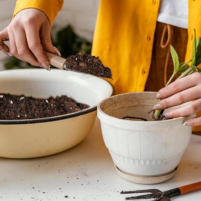Potting Soil Mix 2qt for Indoor Plants, Organic Houseplant Soil Well Draining Dirt Ready to Use, Fit for House Plant Like Pothos, Philodendron, Monstera, African Violet