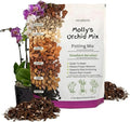 Molly's Orchid Potting Mix - Premium Gritty Soilless Orchid Mix - Chunky High Drainage vs Standard Potting Soil for Indoor Plants - Contains Bark, Coco Chips, Akadama, Pumice, Lava Rock 3 Dry Quarts