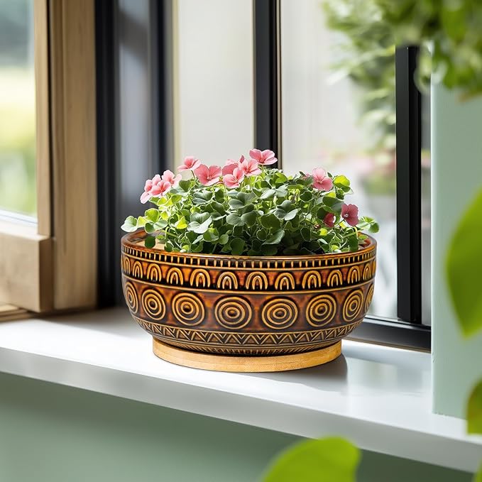 Eightpot Bonsai Pots 8 Inch - Ceramic Succulent Planters for Indoor Plants, Shallow Plant Pots with Drainage Hole and Saucer, Boho Round Planter Bowl, Office Decor, Brown