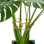 YAPROMO 4PCS Iron Monstera Plant Support - 4.1IN Plant Support Stakes for Indoor Plants, Plant Stakes and Supports, Ideal Plant stem Support for Turtle Shell Bamboo & Houseplants (A+B)