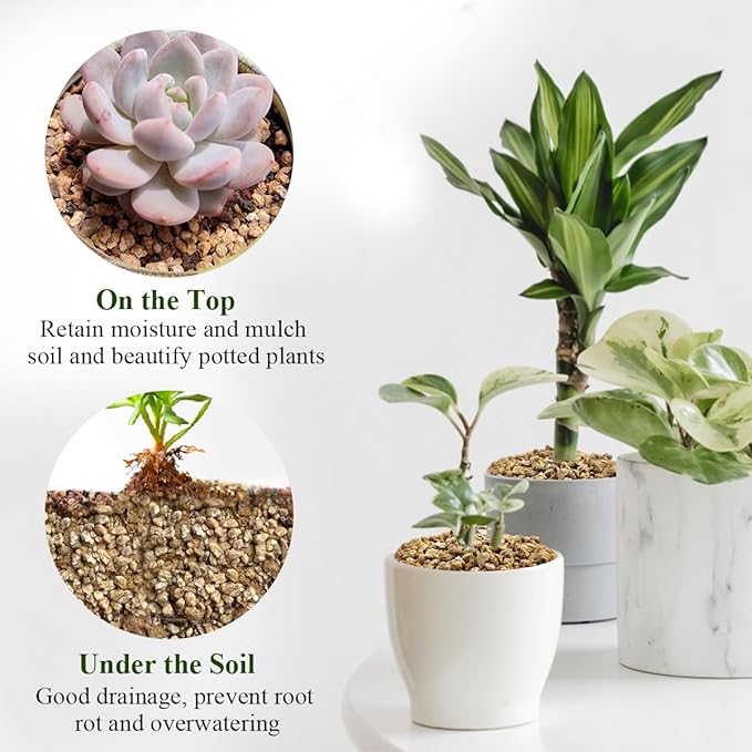 FANTIAN 10 lbs Maifanitum Stones for Succulent,1/4 Inch Decorative Rocks for Indoor Plants, Bonsai, Soil Cover. Small Stones for Water Drainage and Plant Growth