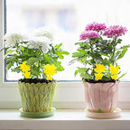 72PCS Fruit Fly Sticky Traps Fungus Gnat Traps Insect Trap for Plants Kitchen Indoor Outdoor White Flies Mosquitos Fungus Gnats Flying Insects Houseplant Gifts