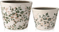 2 Pack Vintage Planter Large Ceramic Plants Pot 5.7/4.7 Inch Pastoral Floral Ice Crack Cottage Scroll Flower Vase Pot Indoor Plants Home Kitchen Decor Farmhouse Antique Decorative Gift