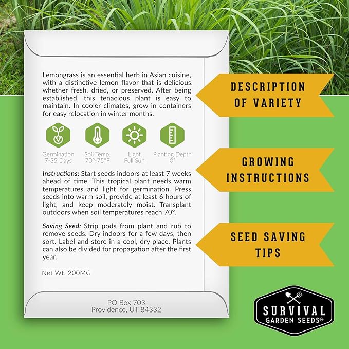 Lemongrass Seeds for Planting - Lemon Scented Asian Lemongrass for Your Home Vegetable Garden - Heirloom Non-GMO Open-Pollinated - Survival Garden Seeds (2 Packs)