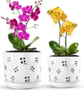 REMIAWY Orchid Pot, 6 Inch and 5 Inch Large Ceramic Orchid Planter with Drainage Holes and Saucer, Decorative Flower Pots for Indoor Outdoor Plant Repotting, Succulent, Good Air Circulation, 2 Packs