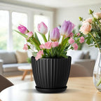 Black 6-Inch Plant Pots with Drainage & Saucers 24 Pack, Indoor & Outdoor Planters for Houseplants, Herbs, and Flowers, Durable & Weatherproof Material, Stackable, Lightweight, Minimalist Design