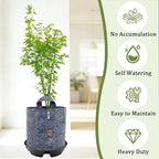 5-Pack 12" Self Watering Pots for Indoor Plants, Plastic Plant Saucer, Bottom Plant Water Catcher Tray, Indoor/Outdoor Greenhouse Garden Auto-Irrigation System for 5 Gallon Fabric Grow Bag