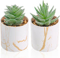 Der Rose Set of 2 Succulents Plants Artificial Mini Fake Succulents Plants for Home Office Desk Accessories for Women
