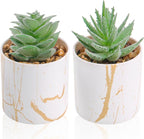 Der Rose Set of 2 Succulents Plants Artificial Mini Fake Succulents Plants for Home Office Desk Accessories for Women