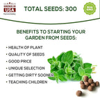 Oregano Seeds for Planting Home Garden Herbs - Individual Pack of 300+ Heirloom Seeds, Suitable for Outdoors, Indoors, and Hydroponics - Non-GMO, Non-Hybrid, Untreated, and USA Grown Variety