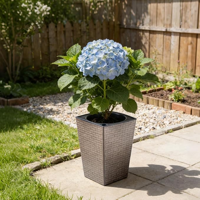Self Watering Pots for Indoor Plants, 2 Pack Flower Pots Self Watering Planter 10.7" x 6.9" Plastic Pots African Violet Wick and Grow Pots Tall Orchid pots Square Large Plant Pots, Bronze