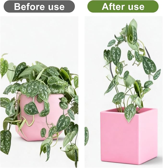 2Pcs Heart Plant Trellis, Acrylic Small Trellis Climbing Plants Indoor Outdoor, Plant Support for Hoya Pothos Vine Ivy Monstera Flower Philodendrons Dischidia