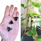 Plant Clips, Orchid Clips Plant Orchid Support Clips Flower and Vine Clips for Supporting Stems Vines Grow Upright Green 50PCS