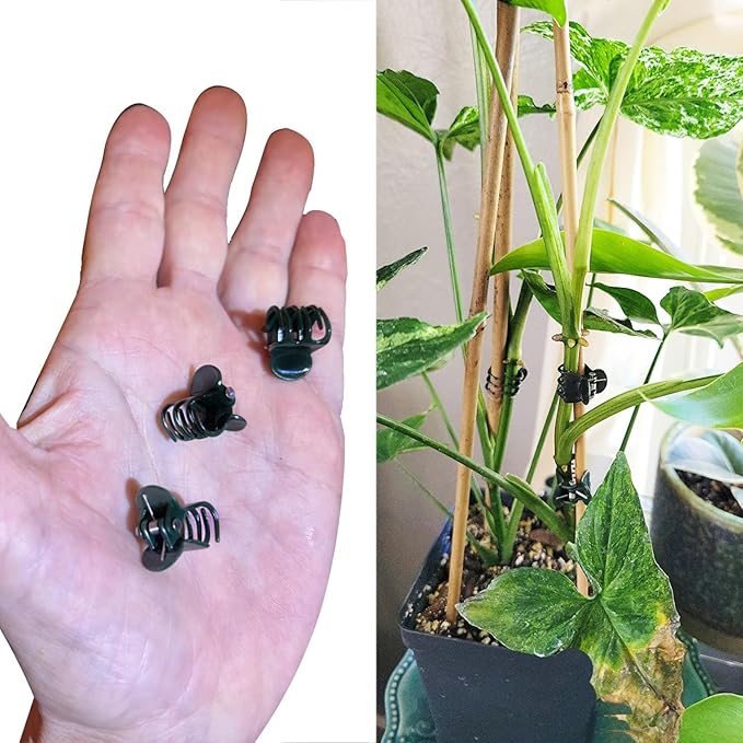 30 pcs Plant Clips, Orchid Clips Plant Orchid Support Clips Flower and Vine Clips for Supporting Stems Vines Grow Upright Dark Green