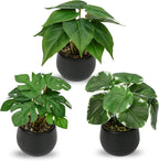 Briful 3PCS Fake Plants Potted Artificial Plants Mini Faux Plants in Black Ceramic Pots Greenery Décor for Home Office Table Room Farmhouse Indoor Decoration