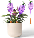 3 Packs Grape Plant Watering Globes with Terracotta Stakes, Glass Self-Watering Planter Insert, Automatic Watering Bulbs for Indoor & Outdoor Plants, Refillable via Top Opening