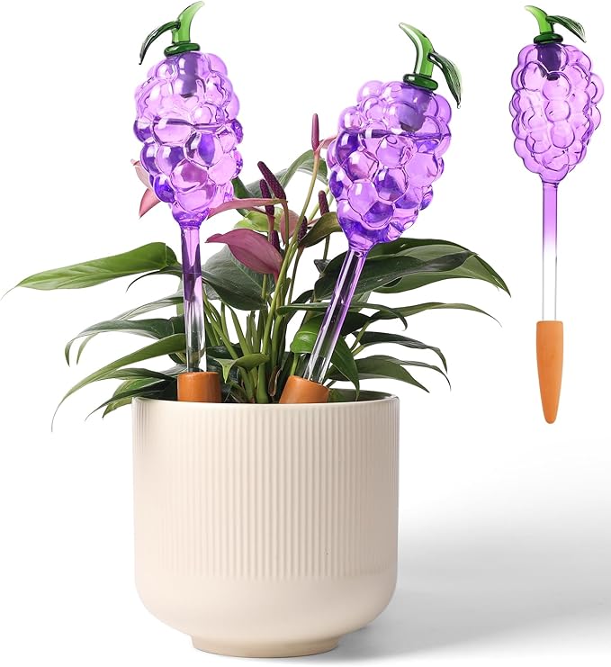3 Packs Grape Plant Watering Globes with Terracotta Stakes, Glass Self-Watering Planter Insert, Automatic Watering Bulbs for Indoor & Outdoor Plants, Refillable via Top Opening
