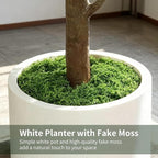6FT Artificial Fiddle Leaf Fig Tree with White Planter & Fake Moss, Realistic Faux Ficus Lyrata Floor Plant for Indoor Home Office Decor, Housewarming Gift