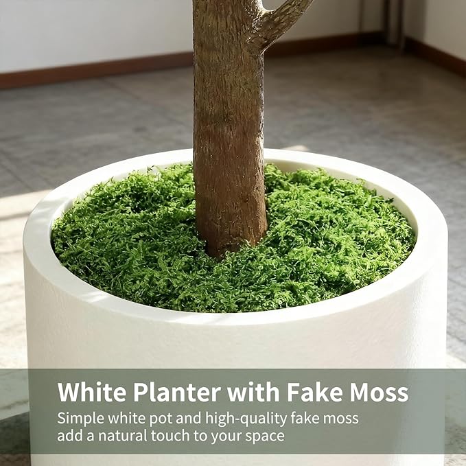 6FT Artificial Fiddle Leaf Fig Tree with White Planter & Fake Moss, Realistic Faux Ficus Lyrata Floor Plant for Indoor Home Office Decor, Housewarming Gift