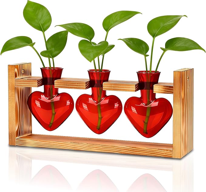 Nacome Plant Terrarium Propagation Stations: Mothers Day Gifts for Mom Plant Lovers Women Wife Daughter - 3 Bulb Glass Vase with Wooden Stand Tabletop for Hydroponics Garden Home Wall Decor(Red)