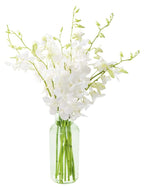 KaBloom - Exotic Perla White Orchid Bouquet of White Orchids with Vase - Fresh Flowers for Birthday, Valentine's & Mother's Day