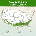 USDA Zone 8 Heirloom Seed Bank, 30,000+ Non-GMO 32 Varieties of Heirloom Seeds for Planting Vegetables Herbs, Survival Seed Kit for Raised Garden Bed Greenhouse, Gardening Gifts for Women Men