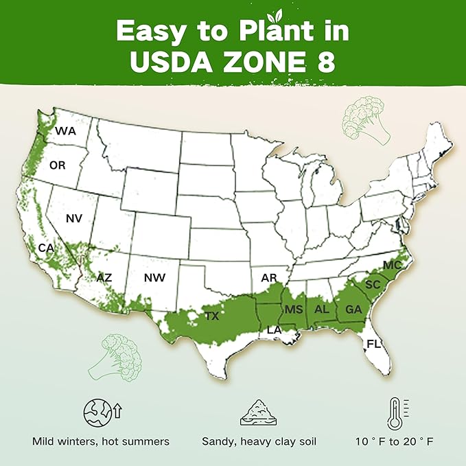 USDA Zone 8 Heirloom Seed Bank, 30,000+ Non-GMO 32 Varieties of Heirloom Seeds for Planting Vegetables Herbs, Survival Seed Kit for Raised Garden Bed Greenhouse, Gardening Gifts for Women Men