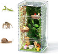 Jumping Spider Enclosure Kit, Small Acrylic Reptile Terrarium with Magnetic Door, Bug Habitat with 30 Pcs Jumping Spider Accessories for Tarantula, Mantis, Small Reptiles, 4" x 4" x 8"