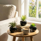 MyGift Mini Assorted Artificial Succulents in Round Black Ceramic Pots, Mixed Realistic Indoor House Plants, Set of 3