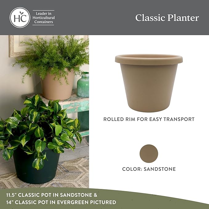 The HC Companies Classic Round Plastic Plant Pot w/Rolled Rim - Lightweight & UV Resistant Flower Pot for Herbs & More - Outdoor & Indoor Plant Pots w/Drainage (7 inch Sandstone, Pack of 1)