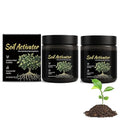 Soil Pro Activator, Soil Activator for Plants, Water Soluble Formula, Organic SoilActivators and Fertilizers, Promotes Nutrient Absorption and Root Development in Vegetables and All Plants (2Pcs)