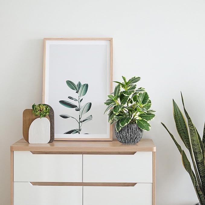 Artificial Plants Indoor Outdoor, Faux Variegated Oak Leaf Plant, Fake Potted Plants Artificial Decor for Coffee Table Desk Shelf, Faux Plants Indoor for Living Room Bathroom Bedroom Entryway Office