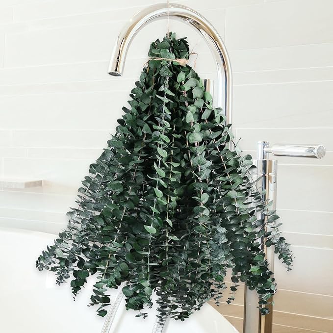 Dried Eucalyptus for Shower Hanging - 17'' Real Large Preserved Eucalyptus Stems Green Home Decor, 100% Made from Fresh Eucalyptus Leaves, Bathroom Shower Decor, Wedding, DIY (36PCS)