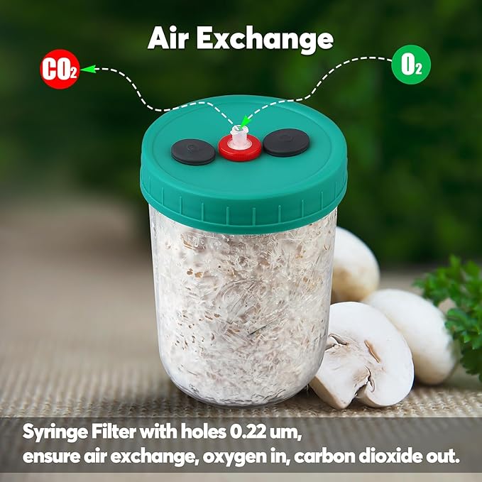 Mushroom Liquid Culture Jar with Self Healing Sealing Injection Port & Syringe Filter Port Mycology Supplies Mushroom Inoculation, Cultivation, Growing Kit 500 ML, 6PCS|PACK