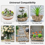 Landscaping Rocks,Landscaping Pebbles River Rocks Decorative Ornamental Pebbles Garden Landscaping Stones Gravel Filler for Home Decoration Flower Bed Fish Tank Plants Vases Succulents (5 Pounds)