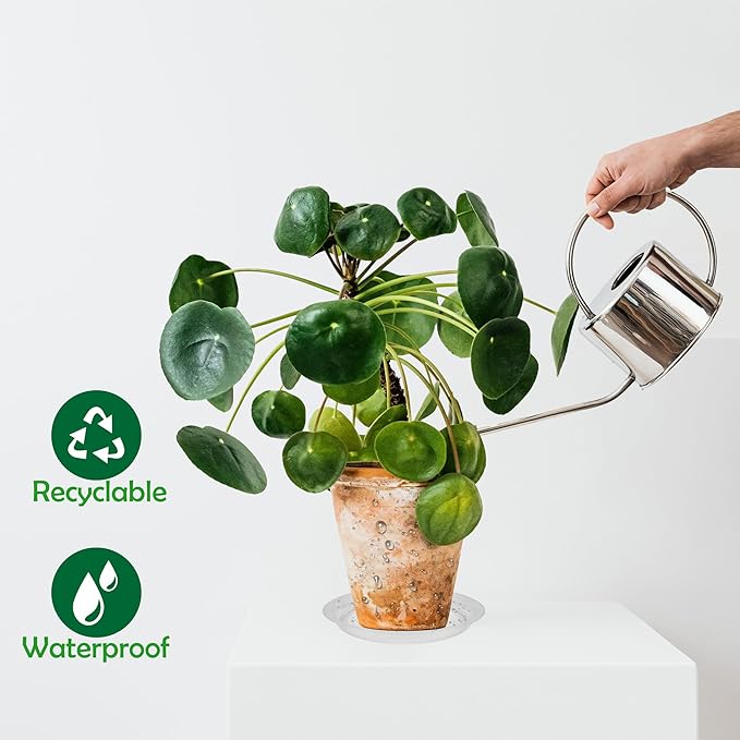 6 Pack 8 Inch Round Plant Saucers for Less 6.8 Inch Pot Indoors Outdoors Plant Trays for Pots Planter Saucer Plastic Plant Drip Tray Planter Water Tray for Potted Plants(Clear, 8"(6pcs))