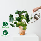 12 Pcs 6 Inch Round Plant Saucers for Less 5 Inch Pot Indoors Outdoors Plant Trays for Pots Planter Saucer Plastic Drip Tray Planter Water Tray(Clear, 6"(12pcs))
