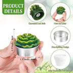 Shihanee 36 Pcs Succulent Cactus Tealight Candles with Mini Terracotta Pots, Spring Decor, Fiesta Cinco De Mayo Party Decorations, Mexican Party Favors, Baby Shower Wedding Table Decor(White)