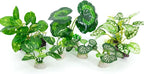 Betta Fish Tank Accessories 7 Pack Silk Aquarium Plants Decoration Artificial Fish Tank Plants Set for Aquariums Decor