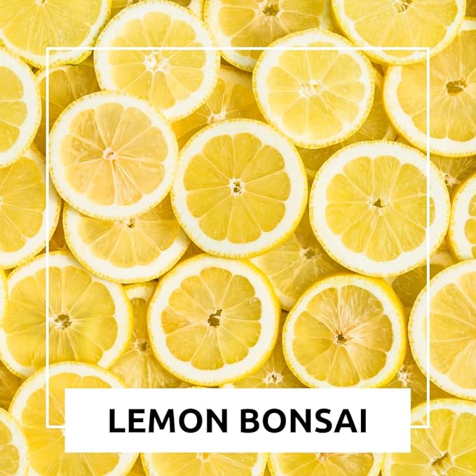 Dwarf Lemon Bonsai Tree Seeds, 20 Seeds, Grow a Delicious Fruit Bearing Bonsai Tree, Great for Home Gardening