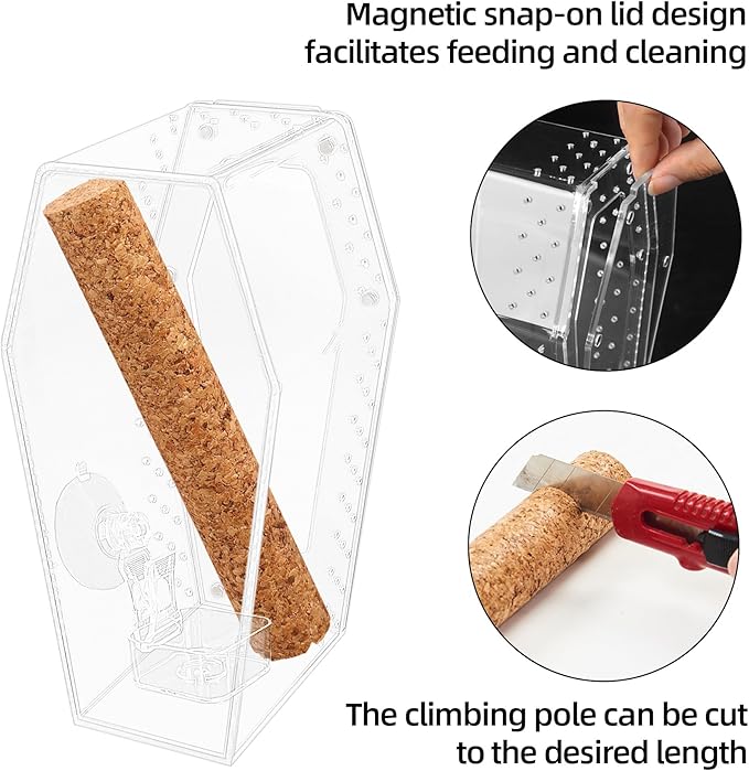 Jumping Spider Enclosure, Magnetic Door Acrylic Terrarium with Feeding Dish & Landscape Stick for Tarantula Snails Insects Reptiles Plants, Coffin Shape Tabletop Decor 4" x 4" x 8"